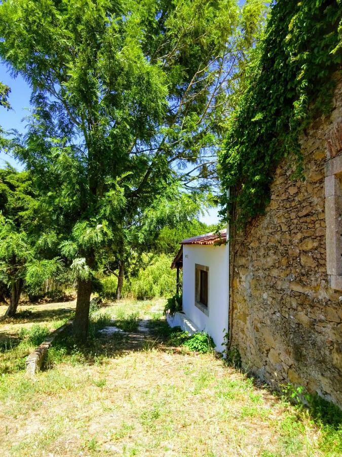 Quinta Da Galeana Dreaming Bed & Breakfast Lourinha  Luaran gambar